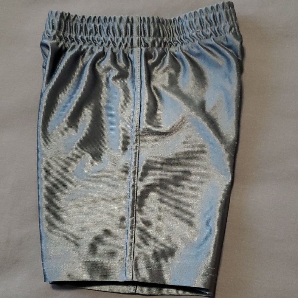 Silver Shorts - Picture 4 of 7
